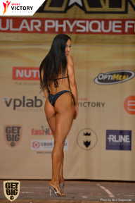 Men’s Physique & Bikini Stars - 2017
