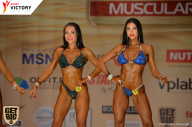 Men’s Physique & Bikini Stars - 2017