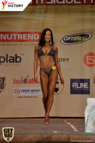 Men’s Physique & Bikini Stars - 2017