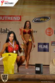 Men’s Physique & Bikini Stars - 2017