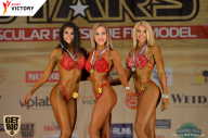 Men’s Physique & Bikini Stars - 2017