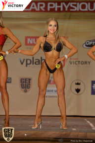 Men’s Physique & Bikini Stars - 2017