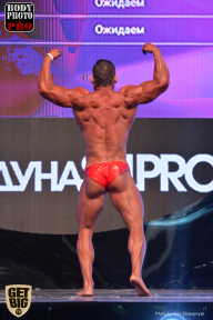 SN PRO EXPO - 2017