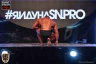 SN PRO EXPO - 2017