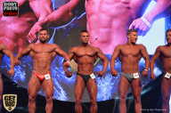 SN PRO EXPO - 2017