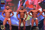 SN PRO EXPO - 2017