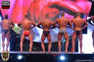 SN PRO EXPO - 2017