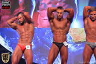 SN PRO EXPO - 2017