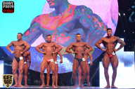 SN PRO EXPO - 2017