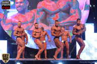 SN PRO EXPO - 2017
