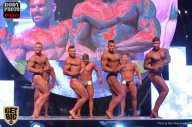 SN PRO EXPO - 2017