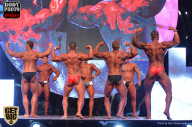 SN PRO EXPO - 2017