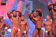 SN PRO EXPO - 2017