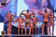SN PRO EXPO - 2017
