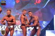 SN PRO EXPO - 2017