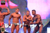 SN PRO EXPO - 2017