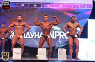 SN PRO EXPO - 2017