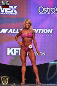 SN PRO EXPO - 2017