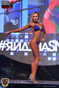 SN PRO EXPO - 2017