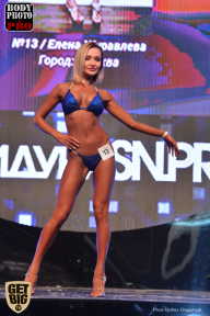 SN PRO EXPO - 2017