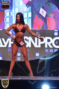 SN PRO EXPO - 2017