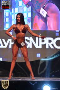 SN PRO EXPO - 2017