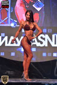 SN PRO EXPO - 2017