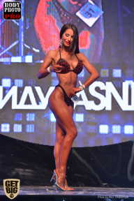 SN PRO EXPO - 2017