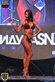 SN PRO EXPO - 2017