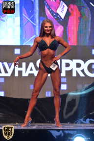 SN PRO EXPO - 2017
