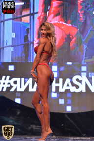 SN PRO EXPO - 2017