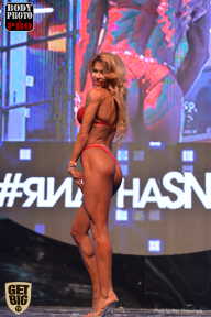 SN PRO EXPO - 2017