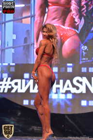 SN PRO EXPO - 2017