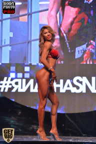 SN PRO EXPO - 2017