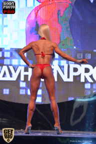 SN PRO EXPO - 2017