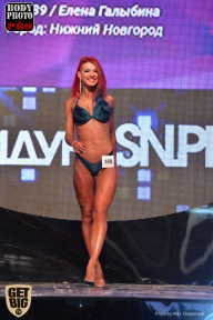 SN PRO EXPO - 2017