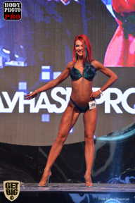 SN PRO EXPO - 2017