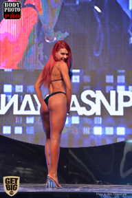 SN PRO EXPO - 2017