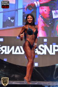 SN PRO EXPO - 2017