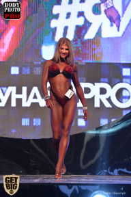 SN PRO EXPO - 2017