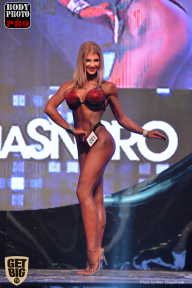 SN PRO EXPO - 2017