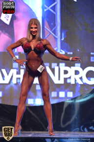 SN PRO EXPO - 2017