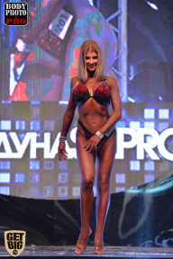 SN PRO EXPO - 2017