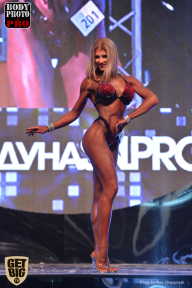 SN PRO EXPO - 2017