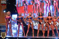 SN PRO EXPO - 2017