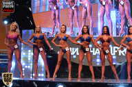 SN PRO EXPO - 2017