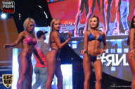 SN PRO EXPO - 2017