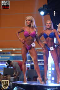 SN PRO EXPO - 2017