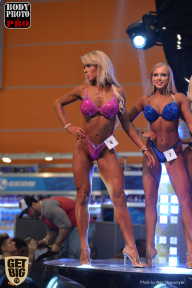 SN PRO EXPO - 2017
