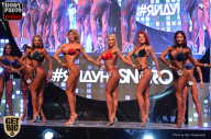 SN PRO EXPO - 2017